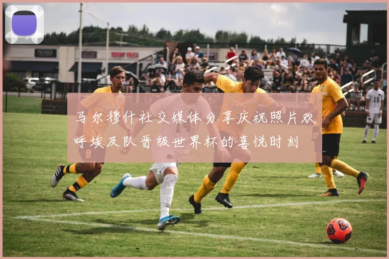 马尔穆什社交媒体分享庆祝照片欢呼埃及队晋级世界杯的喜悦时刻