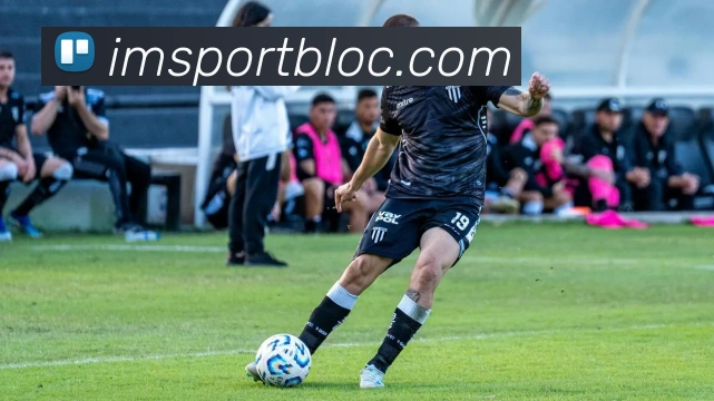 IM足球体育平台生态图