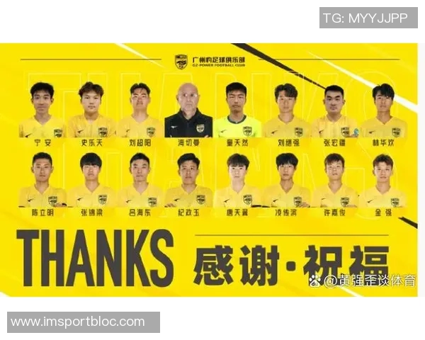 广州豹官方回应个别球迷违法行为公安已介入处理确保赛场秩序